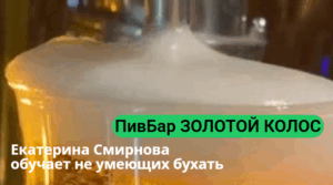 Пивбар Золотой колос